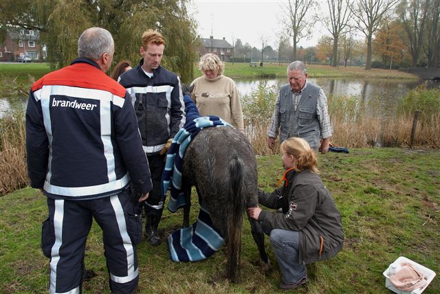 2009/273/20091101 020 Dier te water Vierbuizenmeertje.jpg